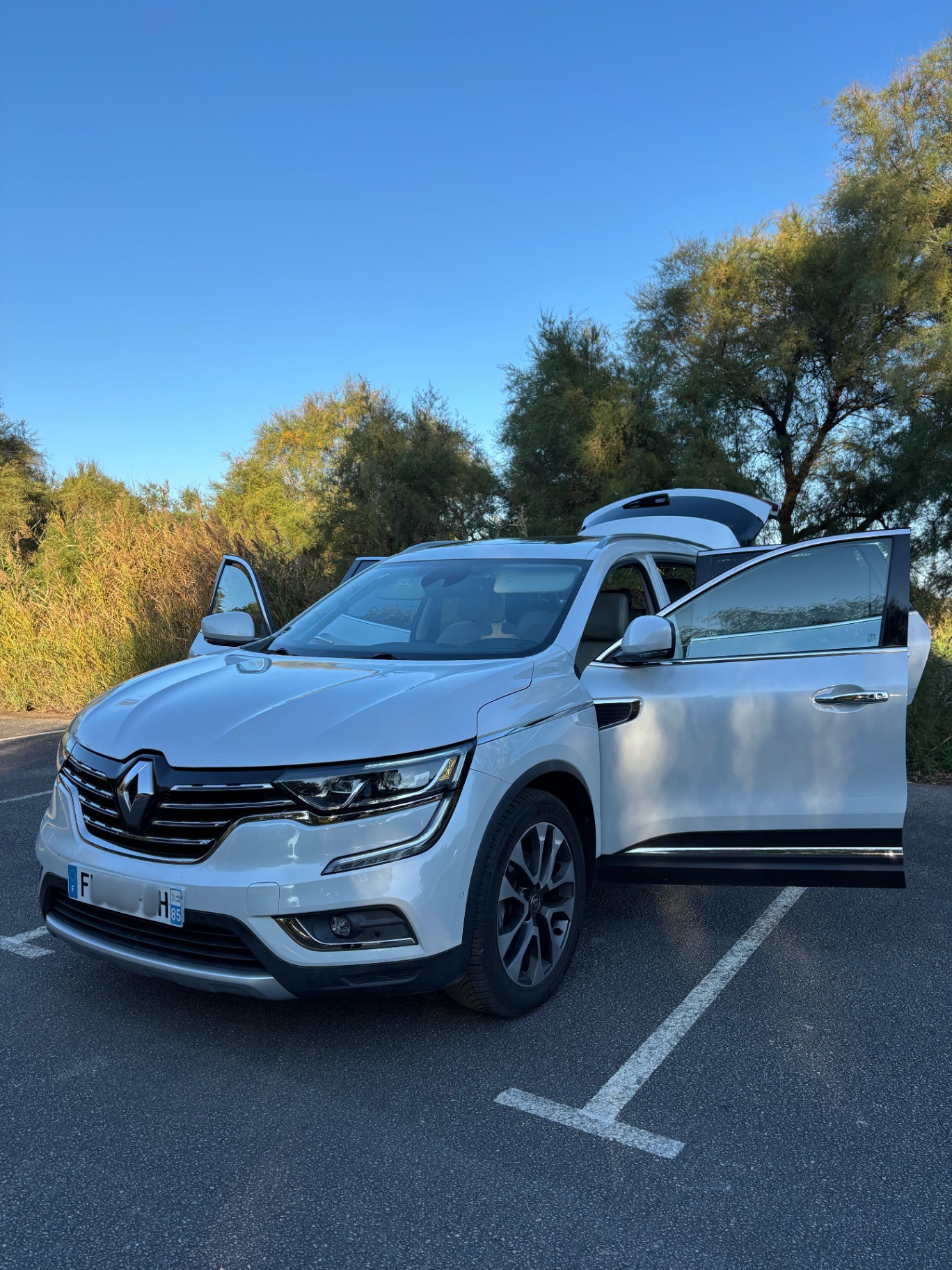 Renault Koleos — Portes ouvertes